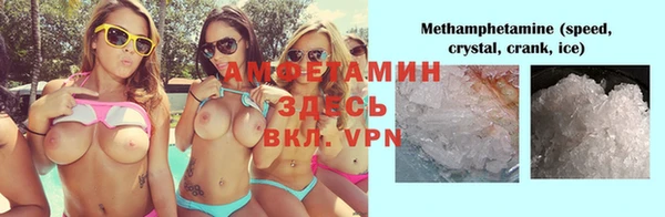 трава Аркадак