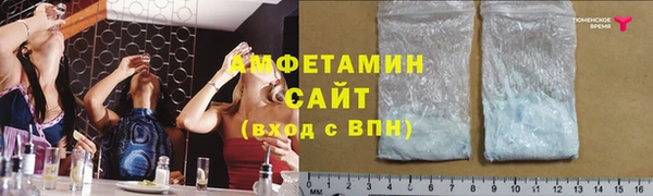 трава Аркадак