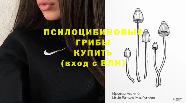 Альфа ПВП Арсеньев