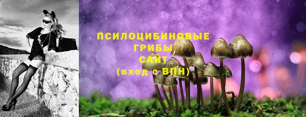 трава Аркадак