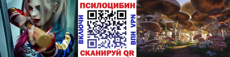 Галлюциногенные грибы мицелий Обоянь